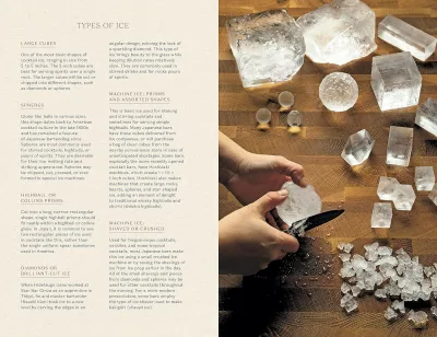 The Way of the Cocktail: Japanese Traditions, Techniques, and Recipes