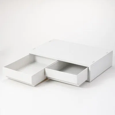 Caja de almacenamiento de polipropileno ancha extrabaja con 2 cajones